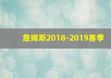 詹姆斯2018-2019赛季