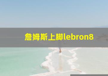 詹姆斯上脚lebron8