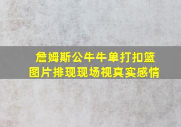 詹姆斯公牛牛单打扣篮图片排现现场视真实感情