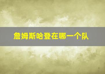 詹姆斯哈登在哪一个队