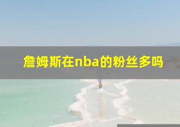 詹姆斯在nba的粉丝多吗