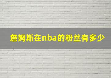 詹姆斯在nba的粉丝有多少