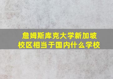 詹姆斯库克大学新加坡校区相当于国内什么学校