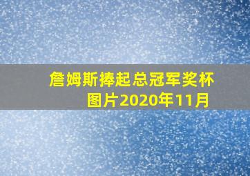 詹姆斯捧起总冠军奖杯图片2020年11月