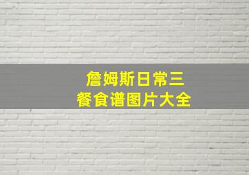 詹姆斯日常三餐食谱图片大全