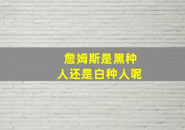 詹姆斯是黑种人还是白种人呢