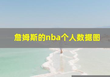 詹姆斯的nba个人数据图