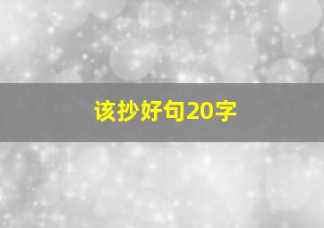 该抄好句20字