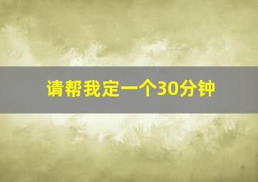 请帮我定一个30分钟