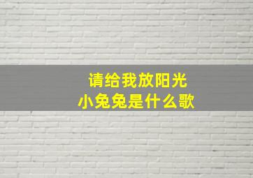 请给我放阳光小兔兔是什么歌