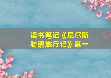 读书笔记《尼尔斯骑鹅旅行记》第一