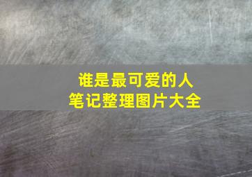 谁是最可爱的人笔记整理图片大全