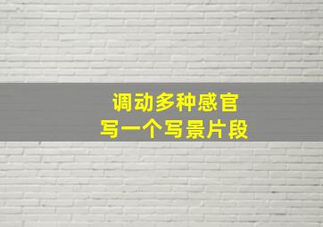 调动多种感官写一个写景片段