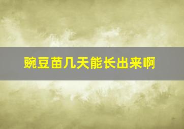 豌豆苗几天能长出来啊