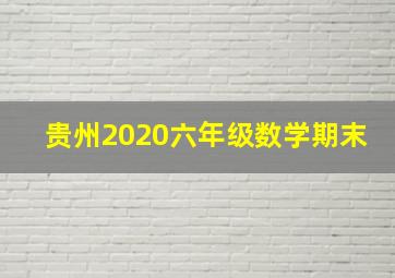 贵州2020六年级数学期末