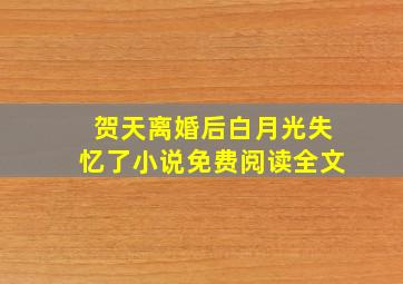 贺天离婚后白月光失忆了小说免费阅读全文