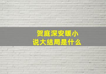 贺庭深安暖小说大结局是什么