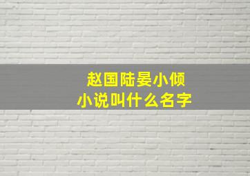 赵国陆晏小倾小说叫什么名字