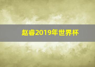 赵睿2019年世界杯