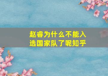 赵睿为什么不能入选国家队了呢知乎