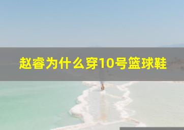 赵睿为什么穿10号篮球鞋