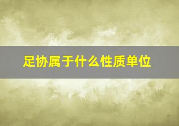 足协属于什么性质单位