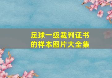 足球一级裁判证书的样本图片大全集