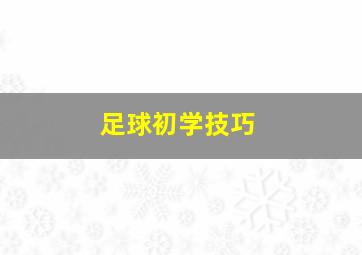 足球初学技巧