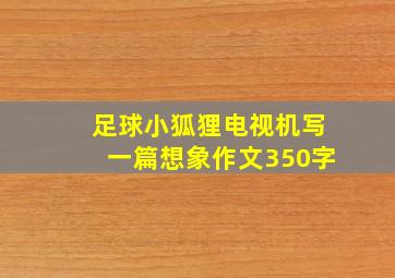 足球小狐狸电视机写一篇想象作文350字