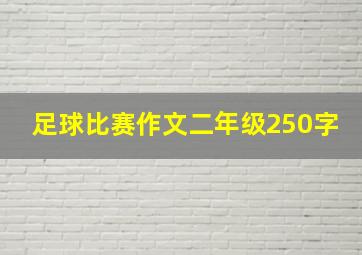 足球比赛作文二年级250字