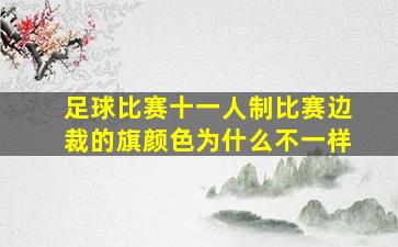 足球比赛十一人制比赛边裁的旗颜色为什么不一样