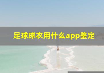 足球球衣用什么app鉴定