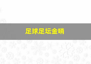 足球足坛金哨