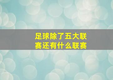 足球除了五大联赛还有什么联赛