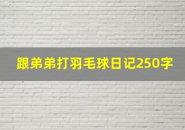 跟弟弟打羽毛球日记250字