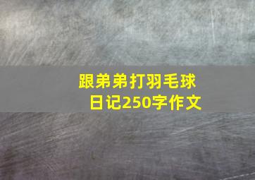 跟弟弟打羽毛球日记250字作文