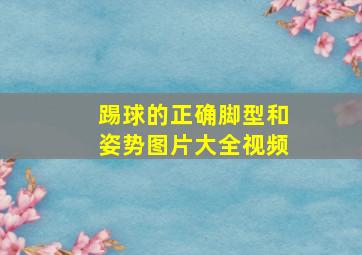 踢球的正确脚型和姿势图片大全视频