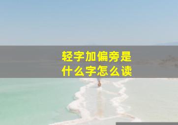 轻字加偏旁是什么字怎么读