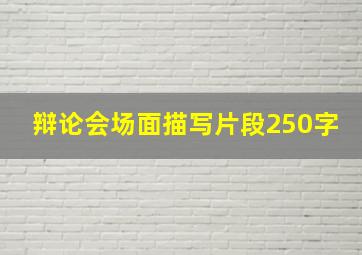 辩论会场面描写片段250字