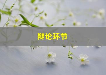 辩论环节