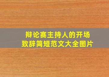 辩论赛主持人的开场致辞简短范文大全图片