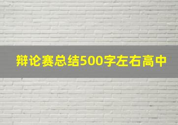 辩论赛总结500字左右高中