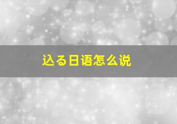 込る日语怎么说