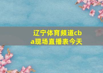 辽宁体育频道cba现场直播表今天