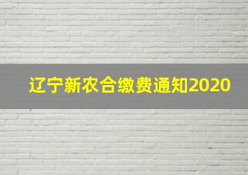 辽宁新农合缴费通知2020