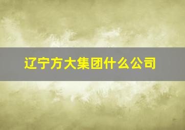 辽宁方大集团什么公司