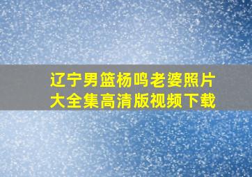 辽宁男篮杨鸣老婆照片大全集高清版视频下载