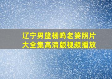 辽宁男篮杨鸣老婆照片大全集高清版视频播放