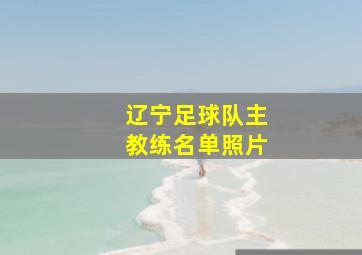 辽宁足球队主教练名单照片