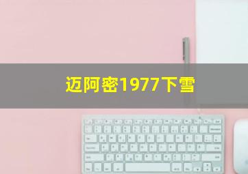 迈阿密1977下雪